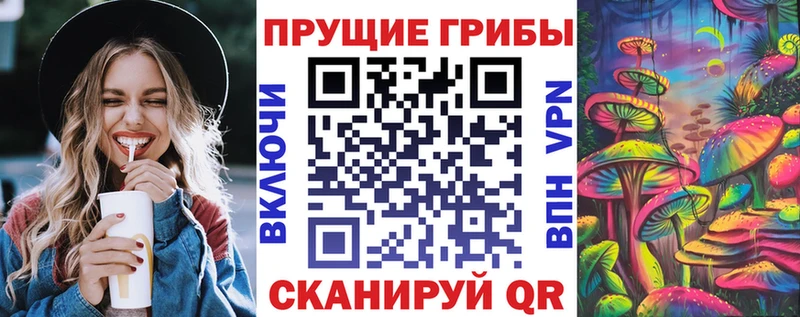 Галлюциногенные грибы MAGIC MUSHROOMS купить цена Отрадное